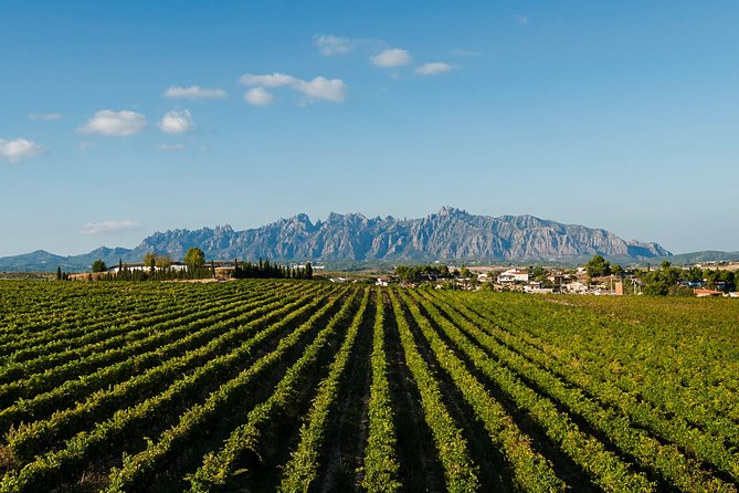 Montserrat,Vineyard, Wine Tasting Small Group Tour & Hotel Pickup - Sant Jeroni Viewpoint: When the Weather Plays Nice