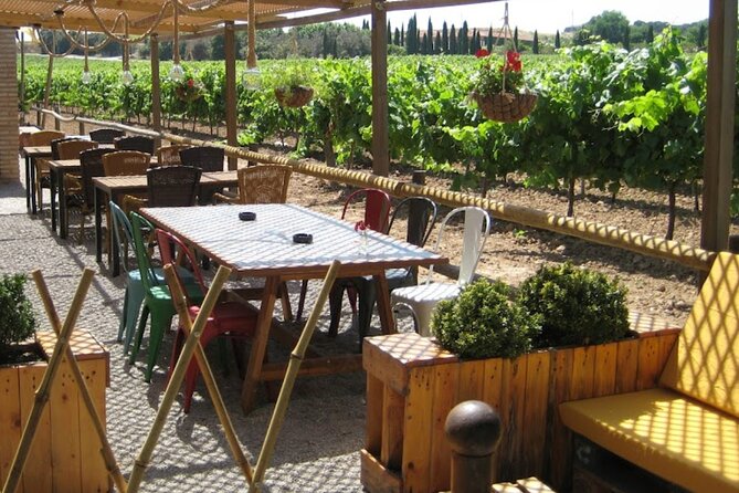 Montserrat & Winery Visit Tour with Traditional Farmhouse Lunch - A smart pairing: mystical Montserrat, then grape vines in Penedes
