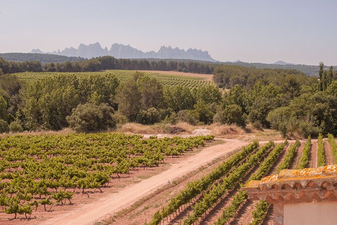 Montserrat with Black Madonna, Winery Tour & Lunch | Private Tour - Transportation, Timing, and How the Day Actually Feels