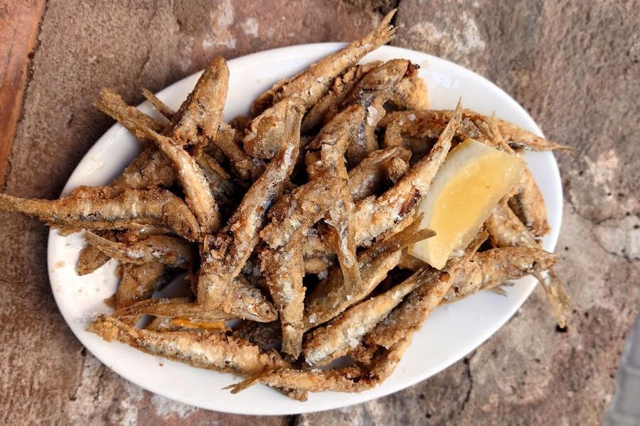 No Diet Club - Unique local food in Barcelona - FAQ