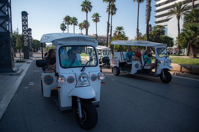 Official Tuk Tuk BCN l Barcelona 3 Hours City Tour - Montjuïc Hill: panoramas and Olympic legacy without the stress