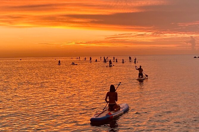Paddle Surfing in Barcelona - Price and value: what $23.97 buys you in one hour