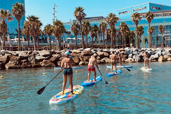 Paddle Surfing in Barcelona - Who should do this paddle surfing in Barcelona