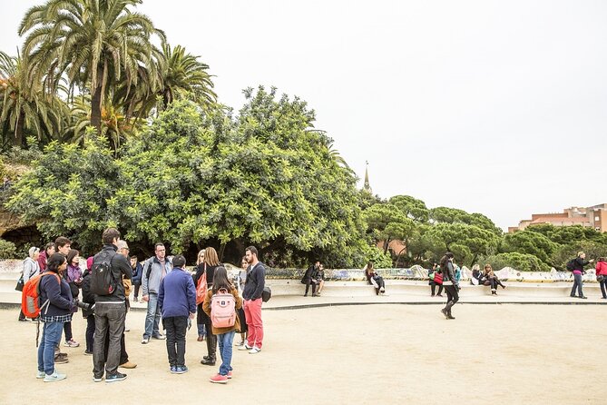 Park Guell Guided Tour with Skip the line Ticket - The main square and the snake-like bench you must find