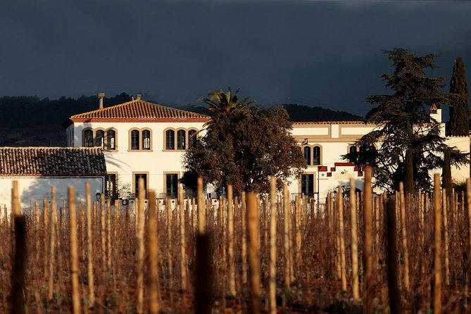 Penedes Wine & Cava Tasting & 4WD Vineyards Tour from Barcelona - What you actually taste: three wines, four cavas, and pairings