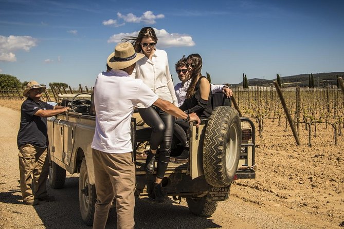 Penedes Wine & Cava Tasting & 4WD Vineyards Tour from Barcelona - Pacing and comfort: the tradeoff behind standing tastings