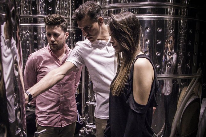 Penedes Wine & Cava Tasting & 4WD Vineyards Tour from Barcelona - Price and value: does €145-ish make sense for what you get?