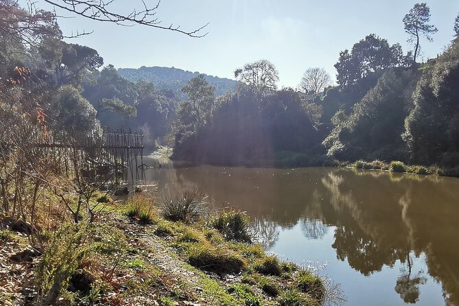 Photography route through the secret nature of Barcelona - Why Vallvidrera Is a Photo Break From Central Barcelona