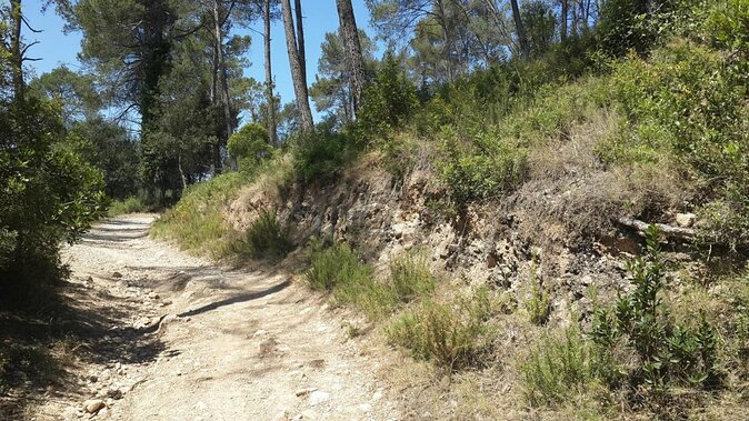 Photography route through the secret nature of Barcelona - Stop 1, Baixador de Vallvidrera: The Mountain Entrance