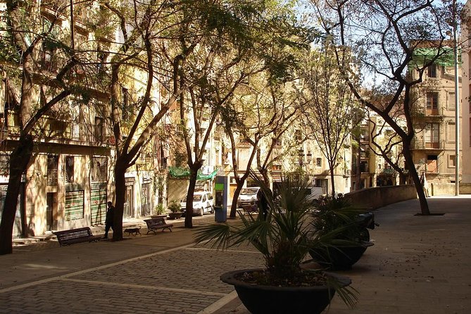 Picasso Museum & Private Walking Tour of Born or Gothic Quarter - Picasso Museum: Where Stories Make the Art Click