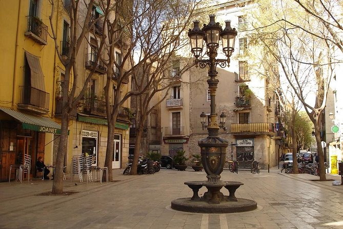 Picasso Museum & Private Walking Tour of Born or Gothic Quarter - Tour Style and How Much You’ll Walk