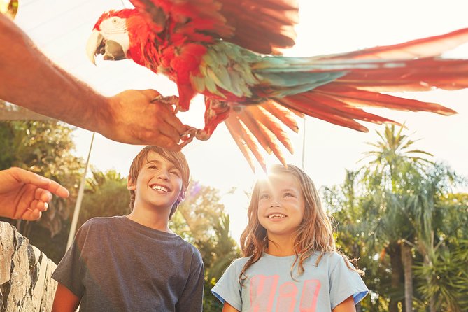 PortAventura Park Day Trip from Barcelona - Coach To PortAventura: What The Ride And Timing Really Mean