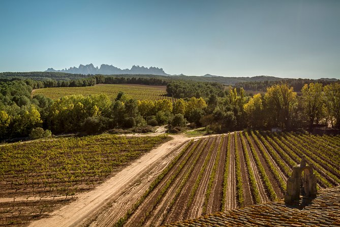 Premium Montserrat & Wine Full Day Tour from Barcelona - The VIP Upgrade: Aging Room Tour and Barrel Samples for the Extra-Interested Wine Crowd