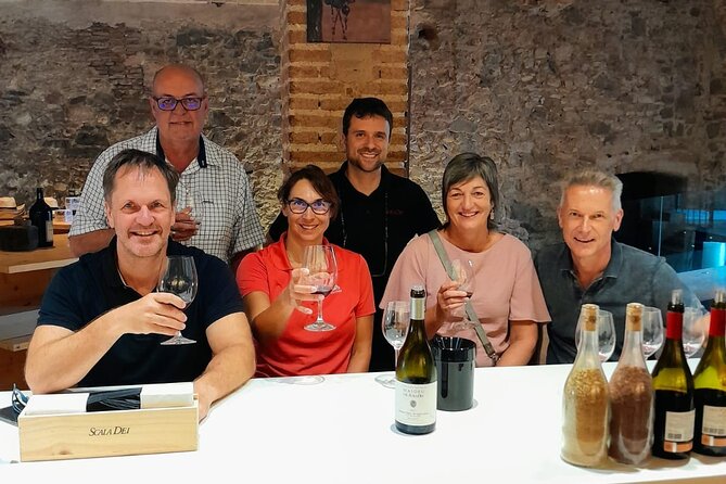 Priorat tour to 3 small wineries and hotel pick-up - Key highlights you will actually feel on the day