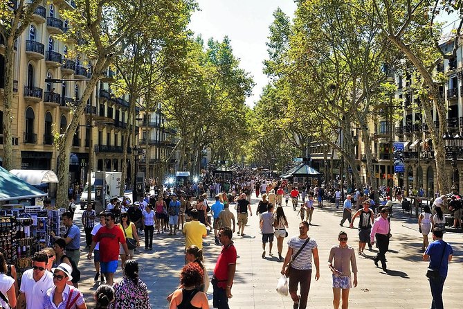 Private Barcelona and Park Güell Tour with hotel Pick-up - Barri Gòtic and Plaça Sant Jaume, old streets with clear explanations