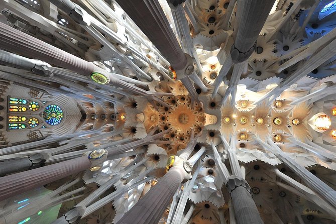Private Barcelona and Sagrada Familia Tour with Hotel Pick-up - Who this private Sagrada Familia tour suits best