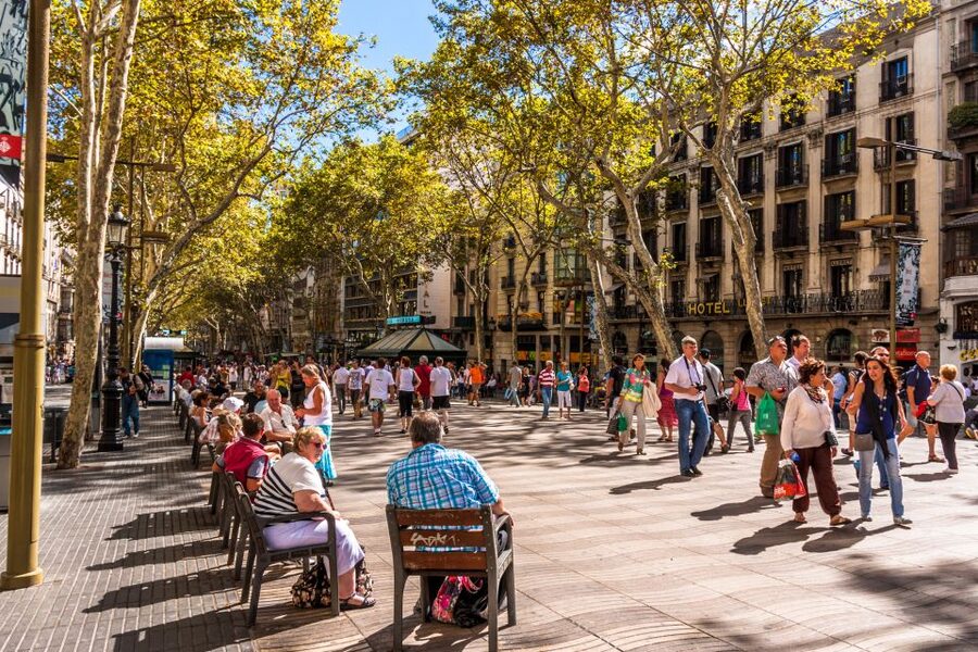 Private Barcelona & Montserrat Tour with Pick-up - Inside Santa Maria de Montserrat: Basilica, Black Madonna, and Choir Time