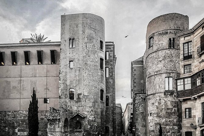 Private Barcelona Old Town Walking Tour: Gothic Quarter & Born - Starting at Passeig de Gràcia, Ending in El Born