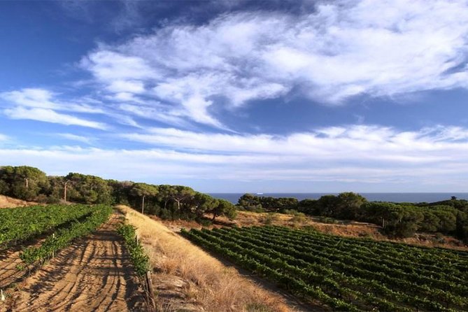 Private Breakfast Winery Experience - Private Wine Tasting Tour - Key things to know before you go