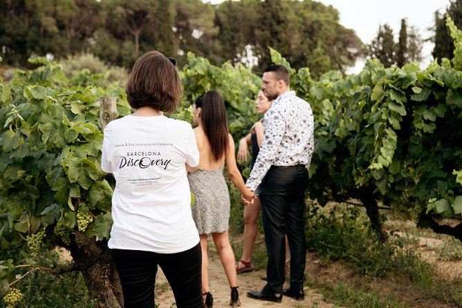 Private Breakfast Winery Experience - Private Wine Tasting Tour - A private, breakfast-first winery tour that actually makes sense