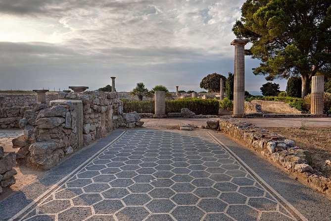 Private Costa Brava and Empuries Tour with Hotel Pick-Up and Panoramic Boat Ride - Illes Medes on a glass-bottom boat: what you see and why it matters