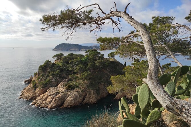 Private Costa Brava Hike and Snorkel from Barcelona with Lunch - Swim and snorkel at remote coves: gear is included, your job is just to be ready