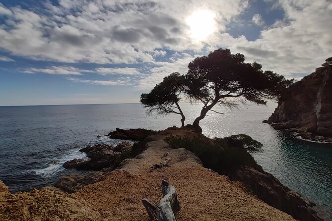 Private Costa Brava Kayak Experience with Snorkel from Barcelona - Getting From Barcelona To the Costa Brava Without Fuss