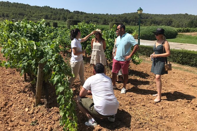 Private Day Trip from Barcelona to Montserrat - Pickup location and what it means for your day