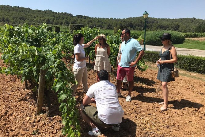 Private Day Trip from Barcelona to Montserrat - Sant Sadurni d’Anoia and Segura cava, with an optional private cellar tour