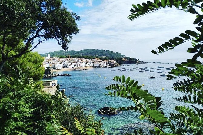 Private Girona Tour Costa Brava & Lunch Experience from Barcelona - Alcohol, Cava, and How the Meal Stays Enjoyable