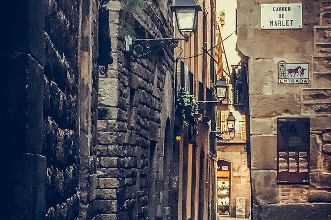 Private, guided shore excursion w/ chauffeured vehicle - Barri Gòtic Walking Tour: Cathedral Views and Roman-Era Details