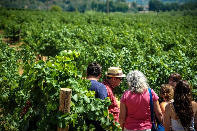 Private Montserrat with Wine Tasting Full Day Trip from Barcelona - Montserrat is not just a stop, it’s the setting