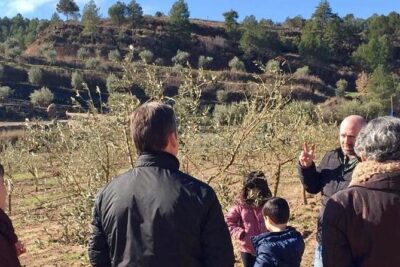 Private Oil Tasting Tour