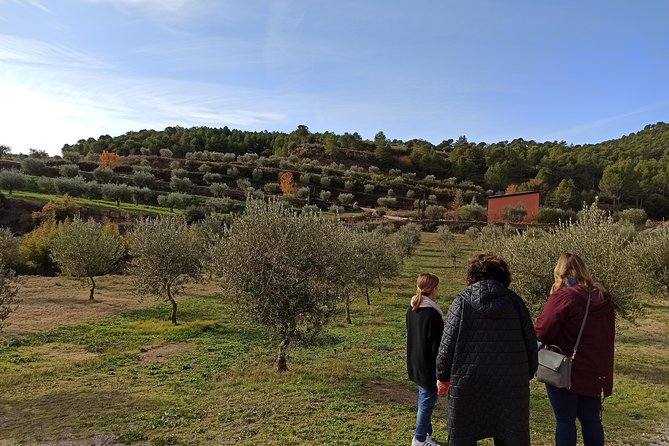Private Oil Tasting Tour - The 3 organic oils tasting, and what to pay attention to