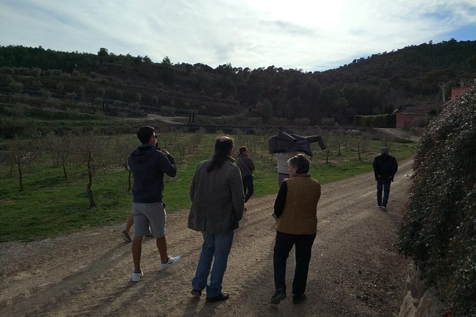 Private Oil Tasting Tour - Organic Catalan products: the food side of the lesson