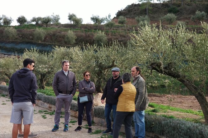 Private Oil Tasting Tour - Transport, timing, and what to expect on the road