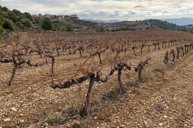 Private Priorat Tour with Wine Tastings & Lunch from Barcelona - The guide makes it (and names like Anthony, Samuel, and Mariela show up)