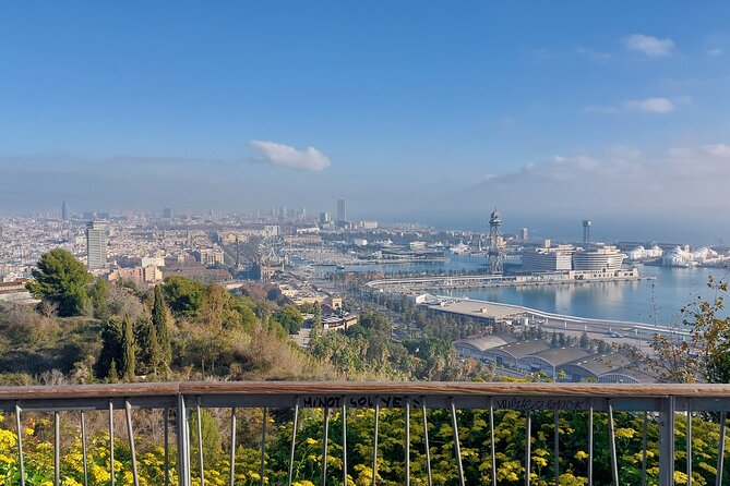 Private tour in Barcelona - Passing the Olympic Area, then Dropping Toward the Sea at Barceloneta