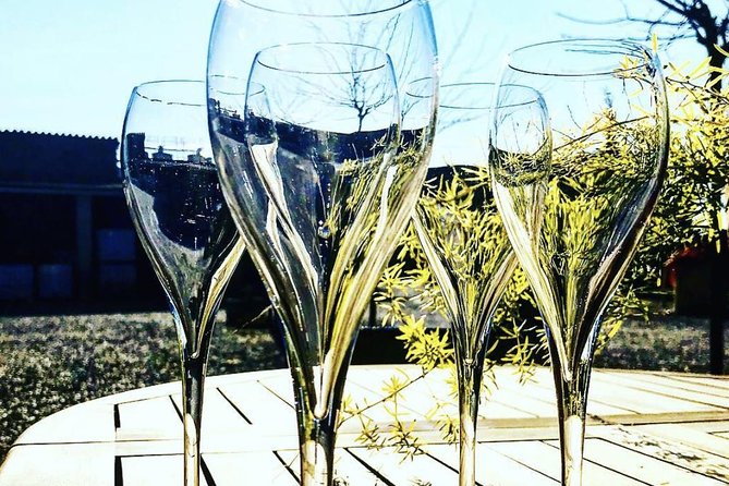 Private Tour: Top Three Organic Wineries & Local Lunch Included - Why Penedes is the best wine-region day trip from Barcelona