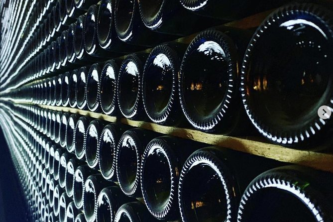 Private Tour: Top Three Organic Wineries & Local Lunch Included - The 8:30 am pick-up and drive to Penedes, without the hassle