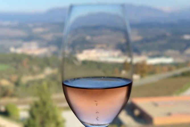 Private Tour: Top Three Organic Wineries & Local Lunch Included - Private tastings and what to do during the wine talk
