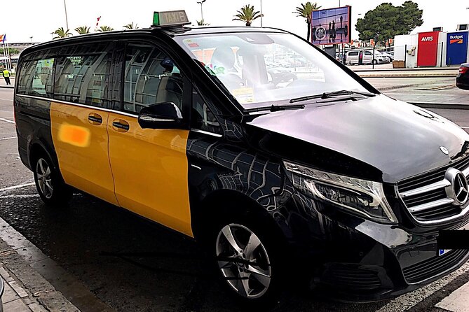 Private Transfer from Barcelona Airport to Cruise Port - Who Should Book This Transfer