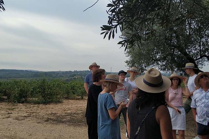 Private Wine & Cava Tasting Tour In Penedes with hotel pick up - How the Penedès day tour fits into your Barcelona plans