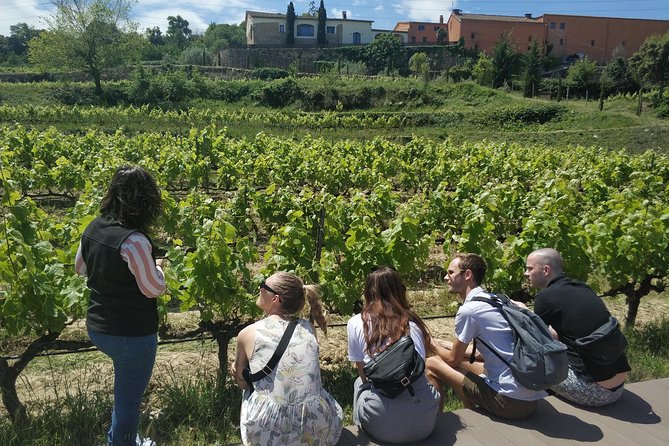 Private Wine & Cava Tasting Tour In Penedes with hotel pick up - Who this tour is best for