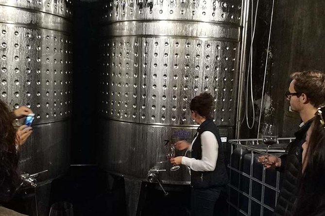 Private Wine & Cava Tasting Tour In Penedes with hotel pick up - Avinyonet del Penedès: vineyard walk and a Romanesque church stop