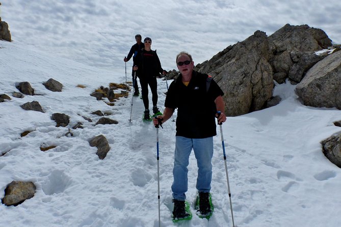 Pyrenees Hiking from Barcelona - Puigmal day hike: what the walking part really means