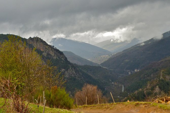 Pyrenees Hiking from Barcelona - Your guide’s role: pace, safety, and real support