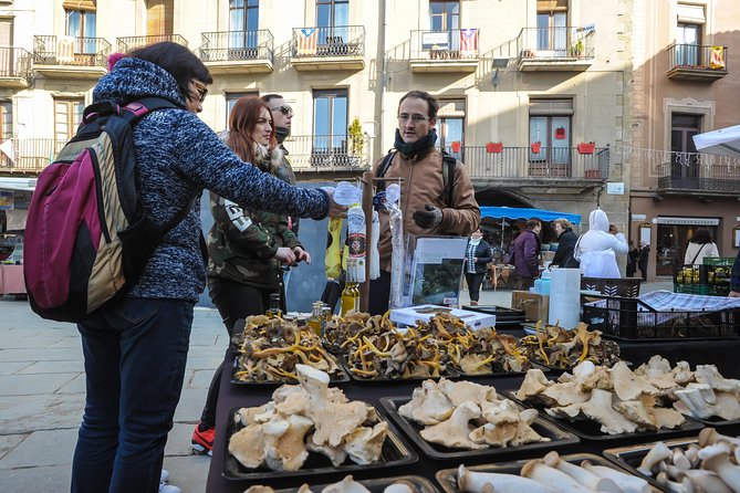 Pyrenees & Medieval Towns Small Group Tour from Barcelona - Queralbs and the rack railway to Vall de Núria