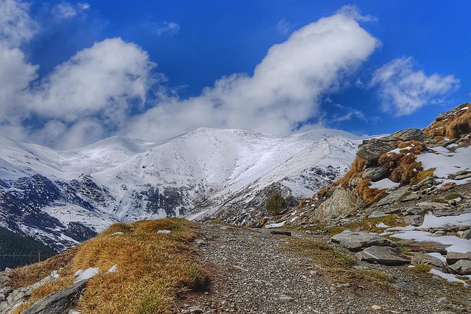 Pyrenees Mountain Train and Nature Walk - Your Guide Makes It: Stepan, Pace, and Trail Safety