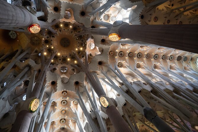 Sagrada Familia and Guell Park Private Tour - Afternoon timing: the simple way to get a more intimate feel